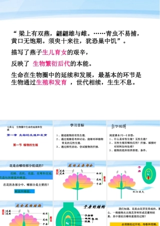 八年级生物下册 植物的生殖和发育课件 人教新课标版 课件