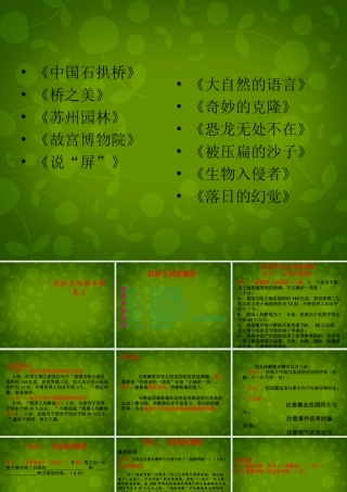 九年级语文下册 说明文阅读题型复习课件 新人教版 课件