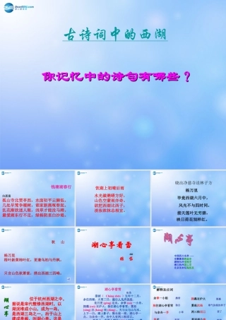 八年级语文下册 第28课 湖心亭看雪课件 语文版 课件