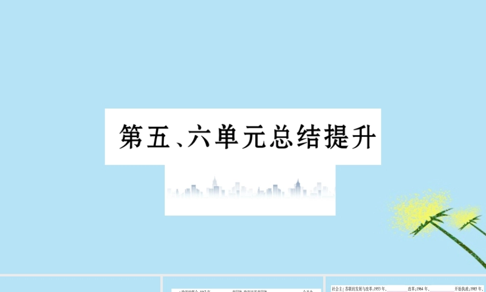 九年级历史下册 第五、六单元总结提升习题课件 新人教版 课件