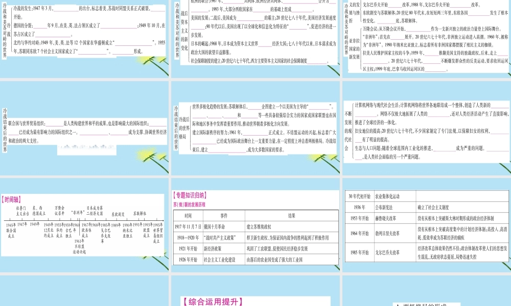 九年级历史下册 第五、六单元总结提升习题课件 新人教版 课件