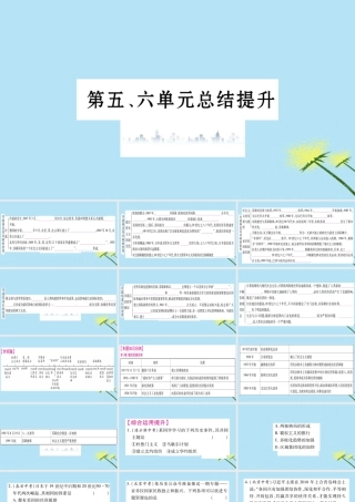 九年级历史下册 第五、六单元总结提升习题课件 新人教版 课件