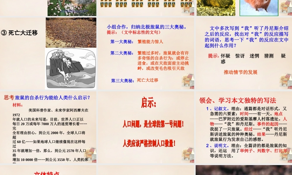 八年级语文下册 第三单元 第13课(旅鼠之谜)课件 (新版)新人教版 课件