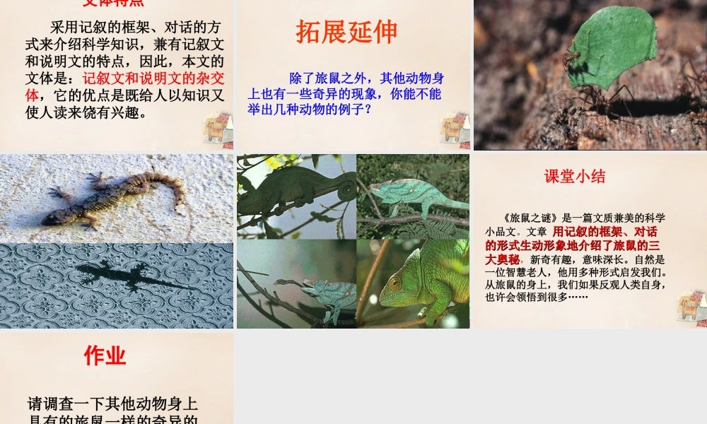 八年级语文下册 第三单元 第13课(旅鼠之谜)课件 (新版)新人教版 课件