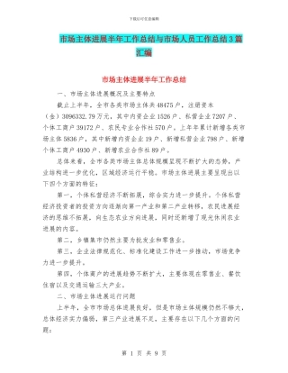 市场主体发展半年工作总结与市场人员工作总结3篇汇编