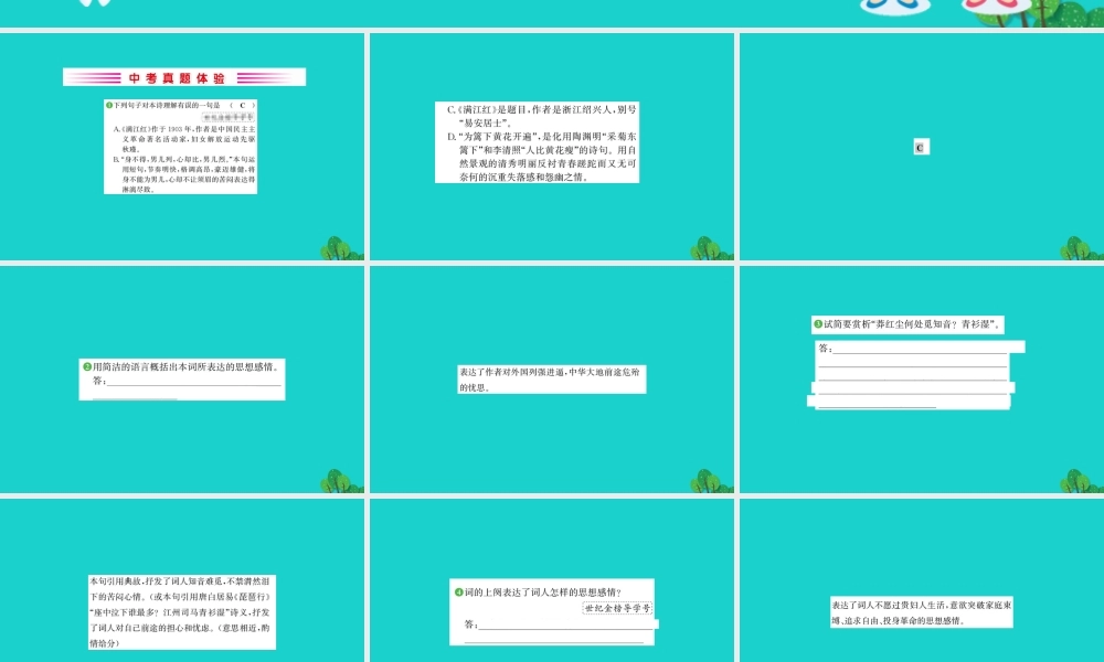 九年级语文下册 第三单元 12(词四首)满江红习题课件 新人教版 九年级语文下册 第三单元 12(词四首)习题课件 新人教版