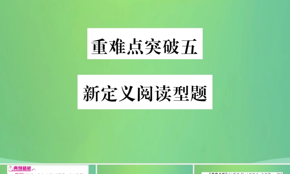 中考数学复习 第三轮 压轴题突破 重难点突破五 新定义阅读型题(精练)课件