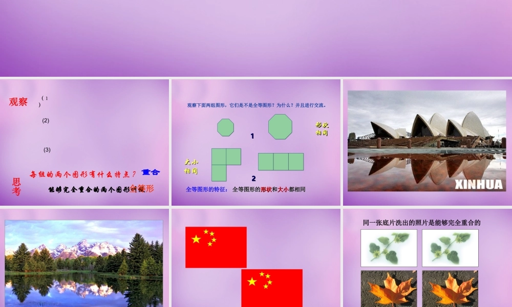 八年级数学上册 12.1(三角形全等)课件 (新版)新人教版 课件