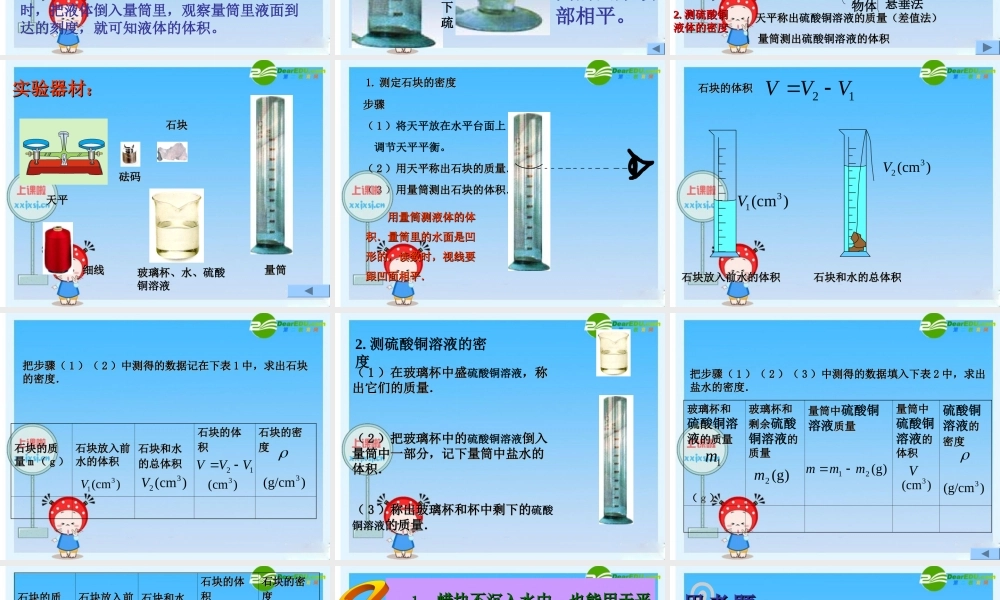 九年级物理 第四节 测量物质的密度 人教版 课件