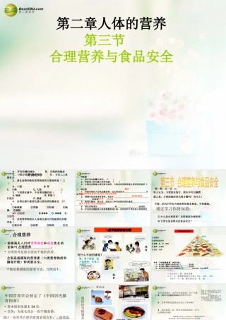 七年级生物下册 2.3 合理营养与食品安全课件 新人教版 课件