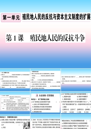 九年级历史下册 第一单元 殖民地人民的反抗与资本主义制度的扩展 第1课 殖民地人民的反抗斗争习题课件 新人教版 课件