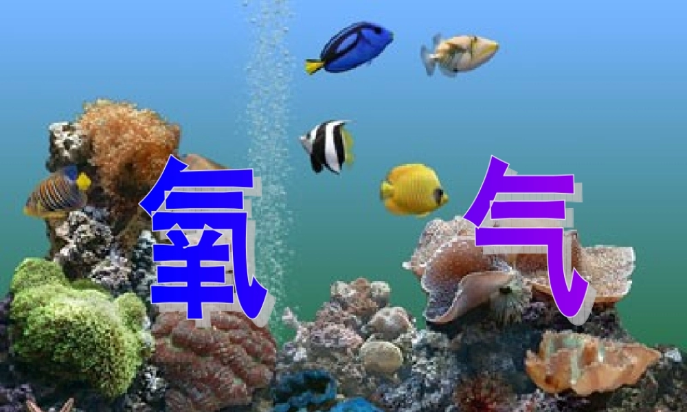 中学九年级化学上册 2.2 氧气课件 (新版)新人教版 课件