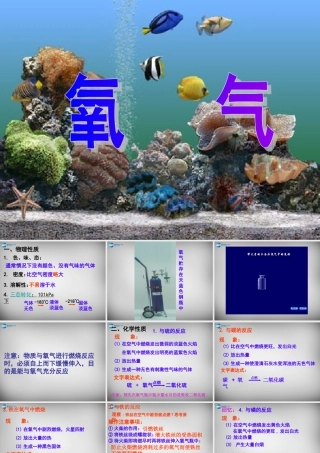 中学九年级化学上册 2.2 氧气课件 (新版)新人教版 课件