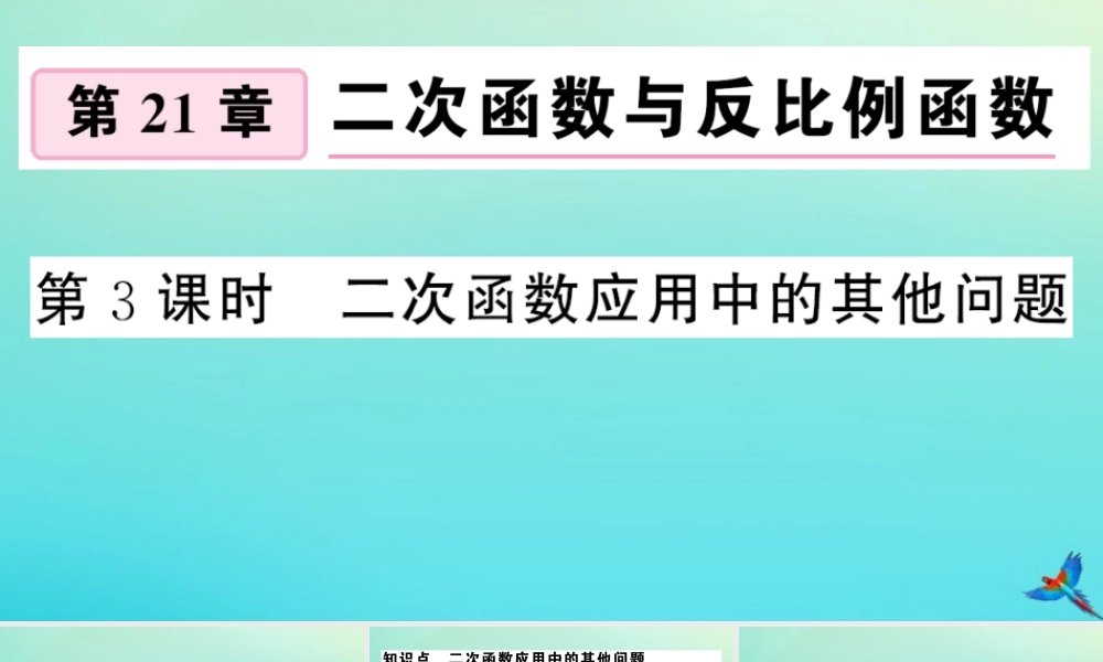 九年级数学上册 第21章 二次函数与反比例函数 214 二次函数的应用 第3课时 二次函数应用中的其他问题作业课件 (新版)沪科版 课件
