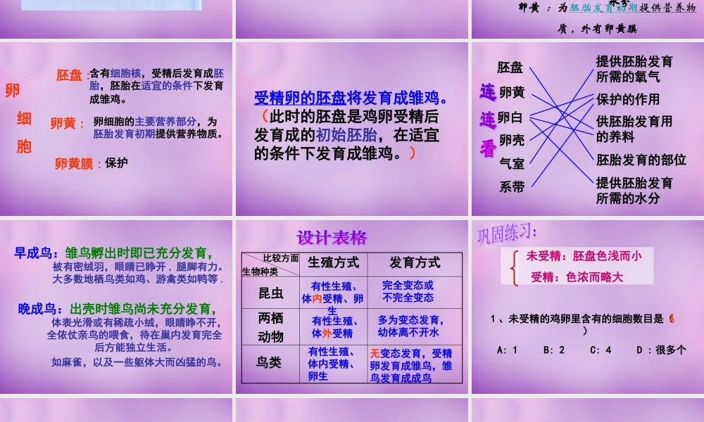 八年级生物下册 第七单元 第一章 第四节 鸟的生殖和发育课件 新人教版 课件