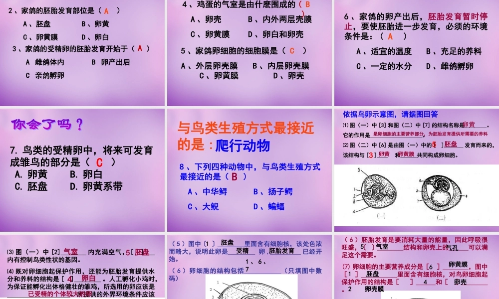 八年级生物下册 第七单元 第一章 第四节 鸟的生殖和发育课件 新人教版 课件