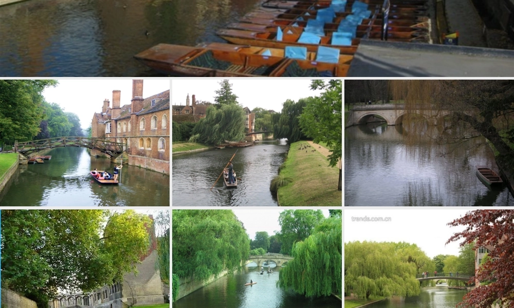 中学七年级语文下册 第25课 再别康桥课件 (新版)苏教版 课件