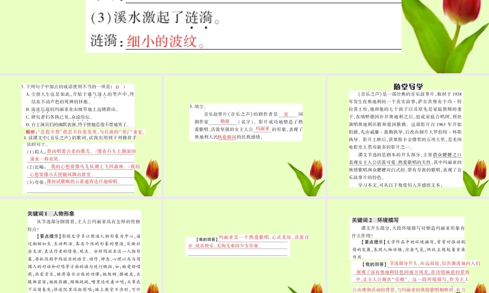 九年级语文下册 第四单元第16课(音乐之声节选)课件 人教新课标版 课件