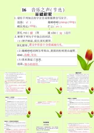 九年级语文下册 第四单元第16课(音乐之声节选)课件 人教新课标版 课件