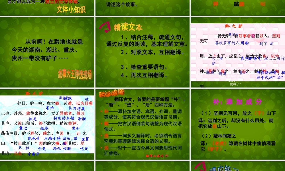 中学七年级语文下册 4.18 黔之驴课件 (新版)苏教版