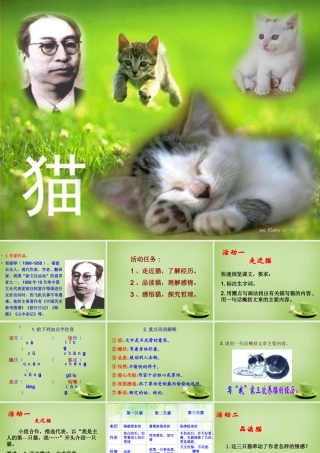 中学七年级语文下册 6.26(猫)课件2 (新版)新人教版 课件
