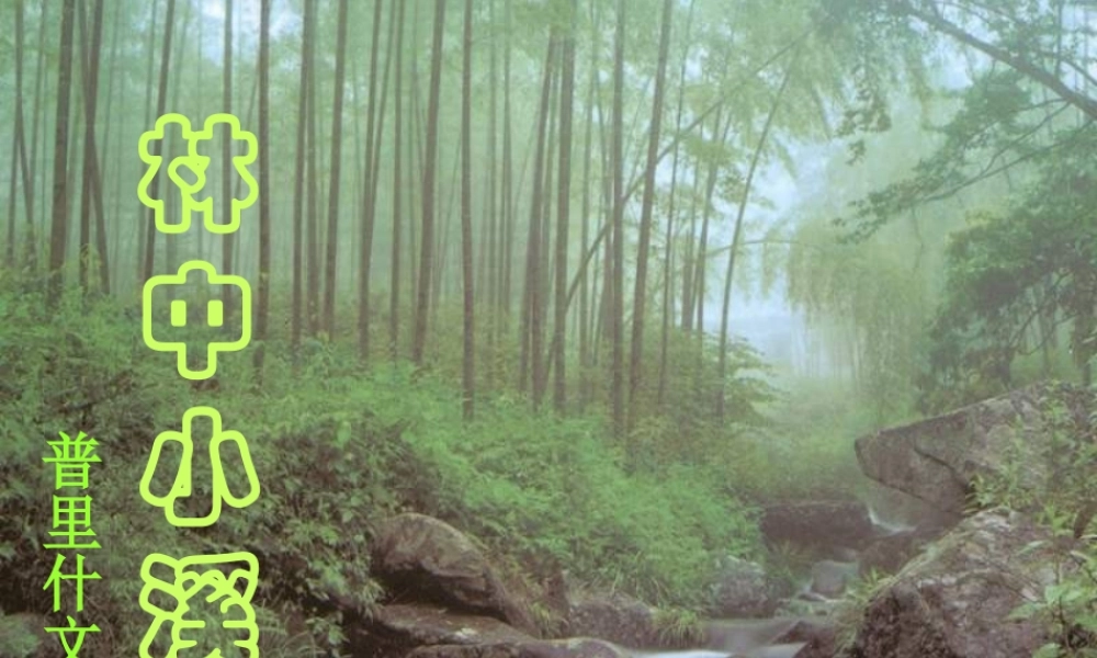 九年级语文上册 2(林中小溪)课件 (新版)苏教版 课件