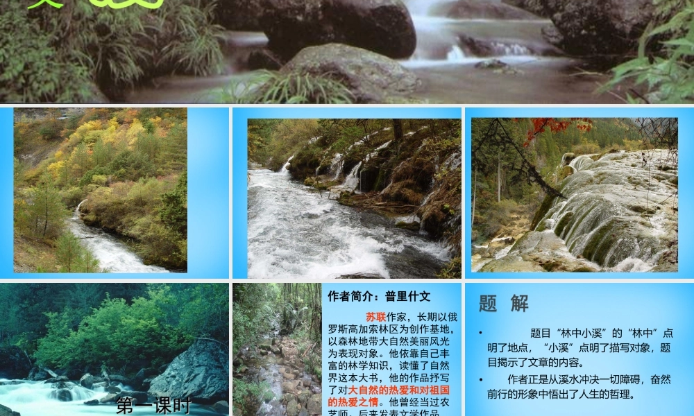 九年级语文上册 2(林中小溪)课件 (新版)苏教版 课件