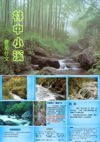 九年级语文上册 2(林中小溪)课件 (新版)苏教版 课件