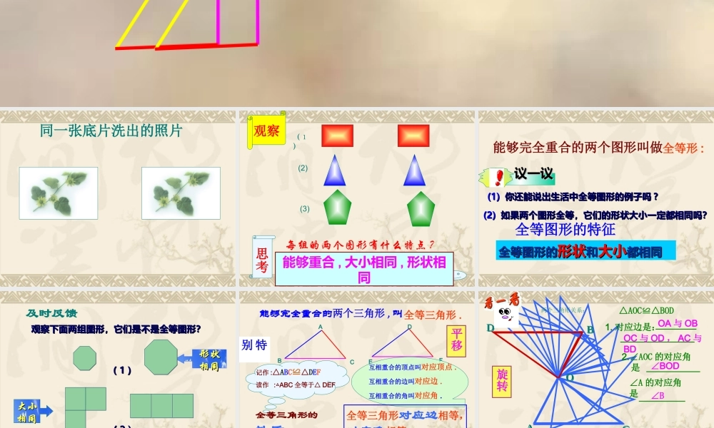 八年级数学全等三角形课件7 新课标 人教版 课件