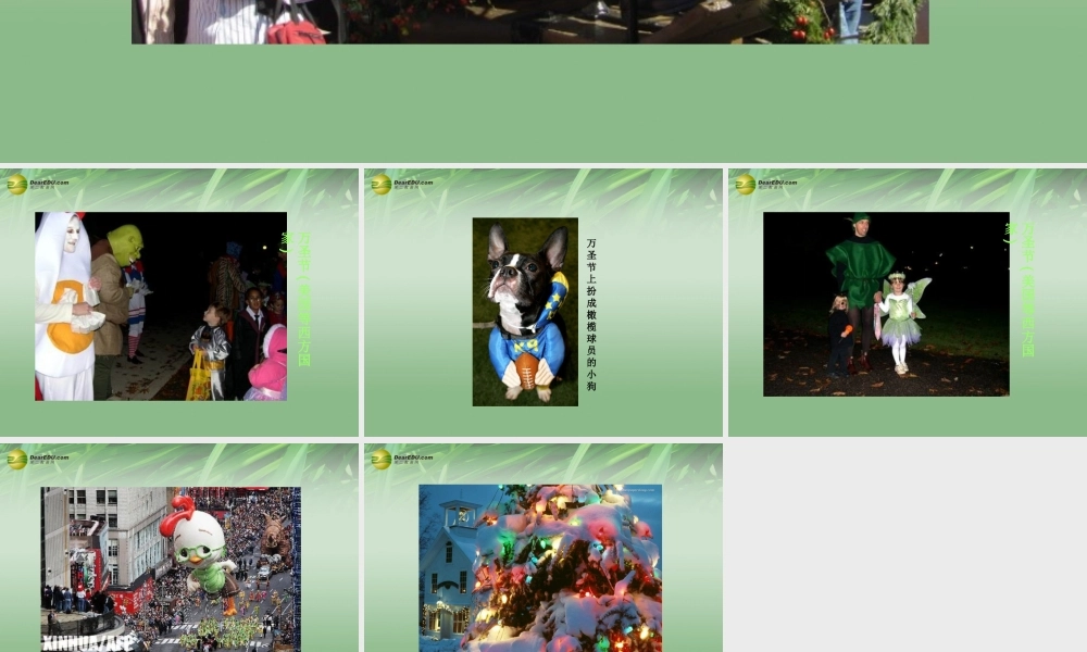 八年级政治上册 第五课第一框世界文化之旅 习俗课件 新人教版 课件