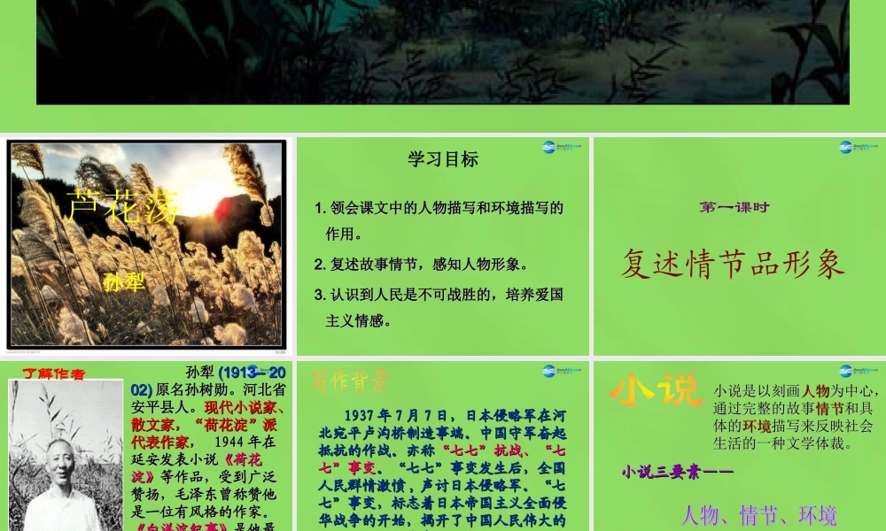 八年级语文上册 2 芦花荡课件 新人教版 课件