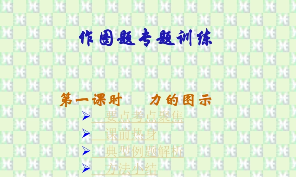 九年级物理作图题专题训练第一课时力的图示 新课标 人教版 课件