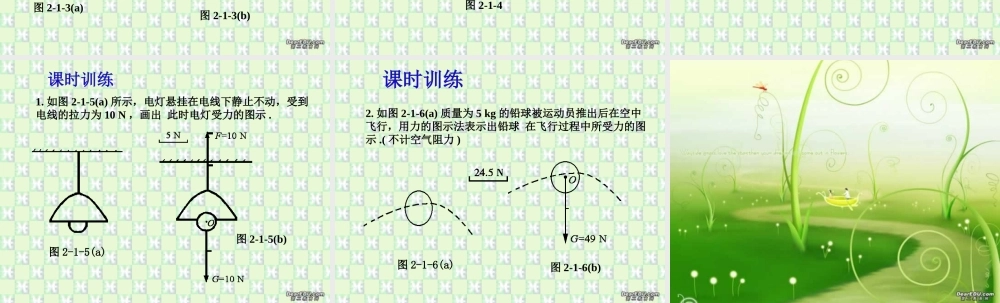 九年级物理作图题专题训练第一课时力的图示 新课标 人教版 课件