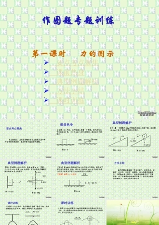 九年级物理作图题专题训练第一课时力的图示 新课标 人教版 课件