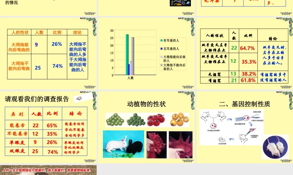 基因控制生物的性状八年级生物课件示例 课件