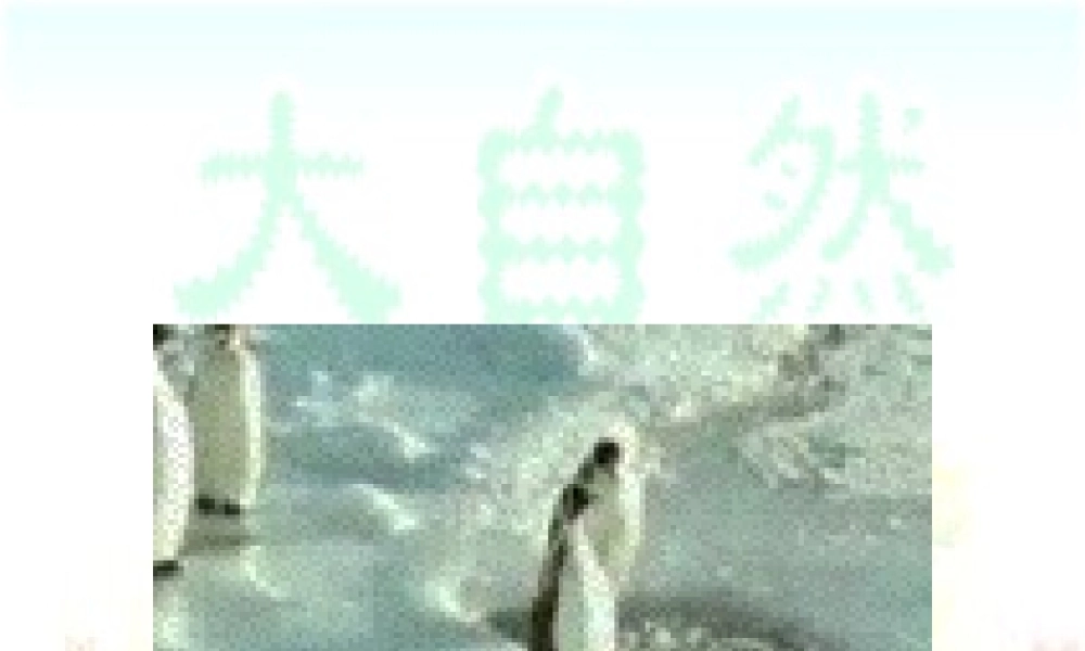 八年级语文下第三单元11敬畏自然精品课件人教版 课件