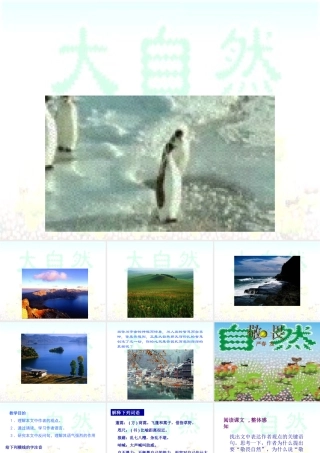 八年级语文下第三单元11敬畏自然精品课件人教版 课件