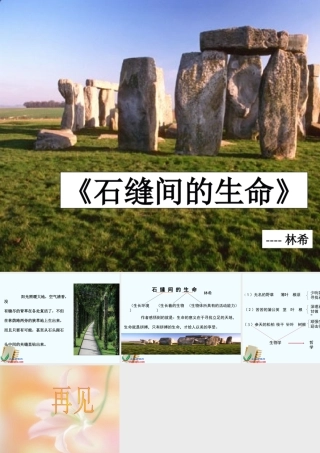 七年级语文上册 (石缝间的生命)课件 沪教版 课件