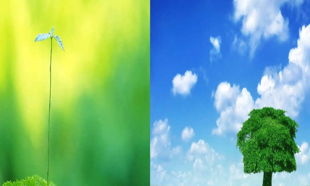 九年级语文下册 第9课(谈生命)课件 新人教版 课件