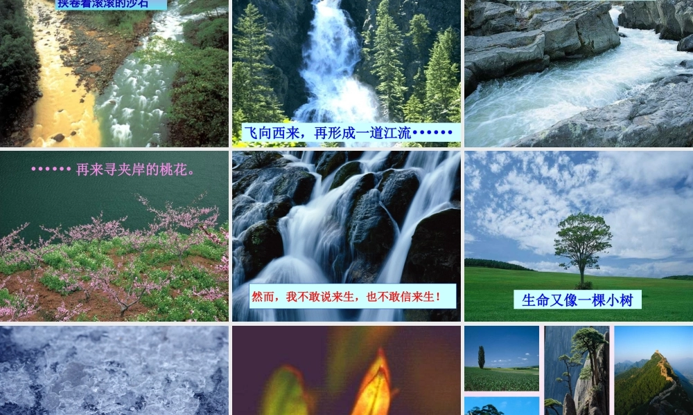 九年级语文下册 第9课(谈生命)课件 新人教版 课件