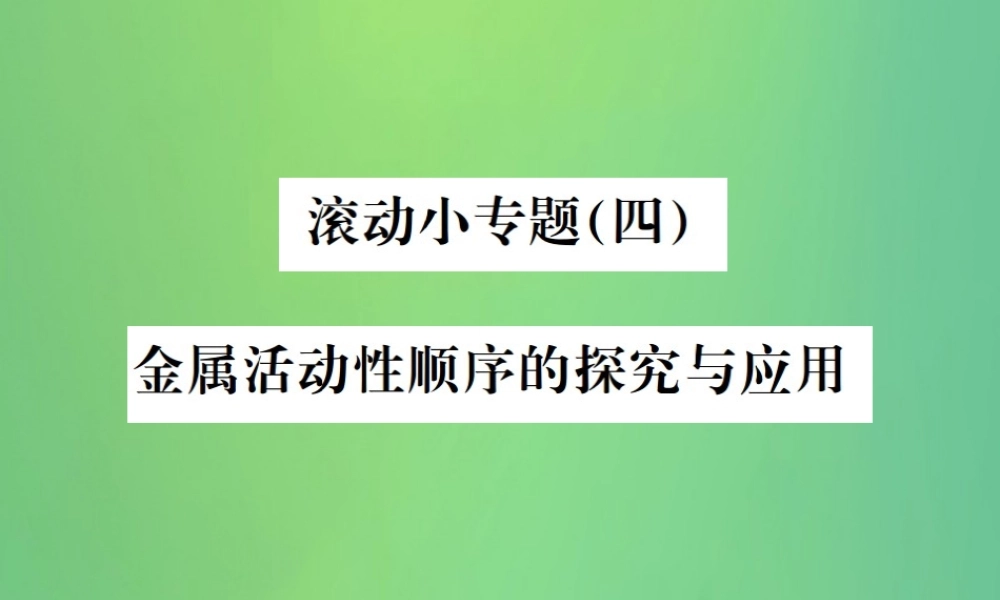 中考化学总复习 滚动小专题(四)金属活动性顺序的探究与应用课件