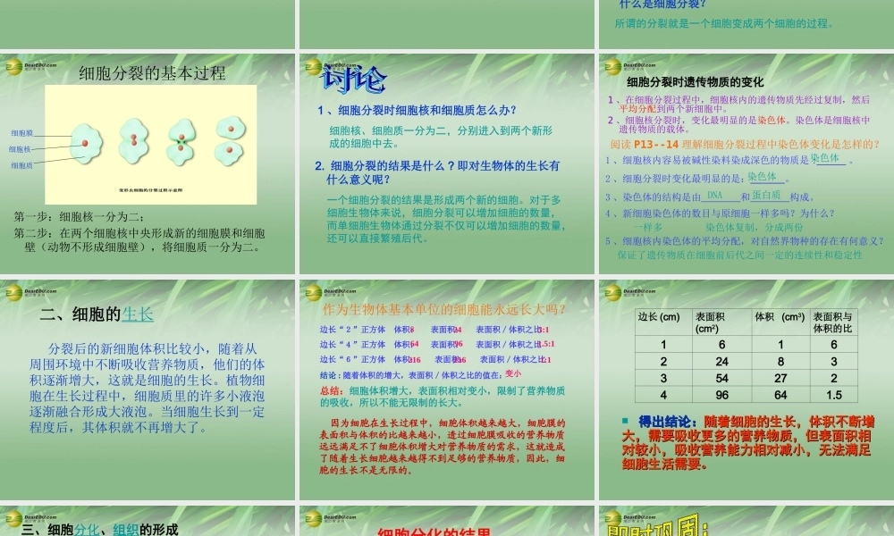七年级生物下册 第二节 细胞分裂与分化课件 苏科版 课件