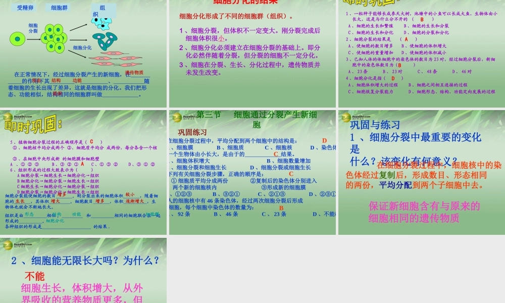 七年级生物下册 第二节 细胞分裂与分化课件 苏科版 课件