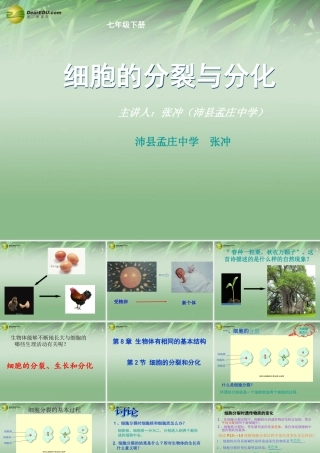 七年级生物下册 第二节 细胞分裂与分化课件 苏科版 课件