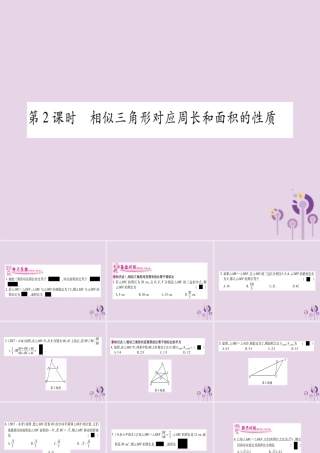 九年级数学上册 第3章 图形的相似 34 相似三角形的判定与性质 342 第2课时 作业课件 (新版)湘教版 课件
