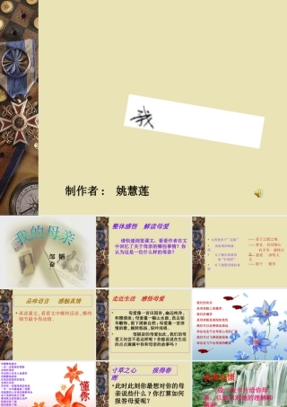 八年级语文 我的母亲课件 苏教版 课件