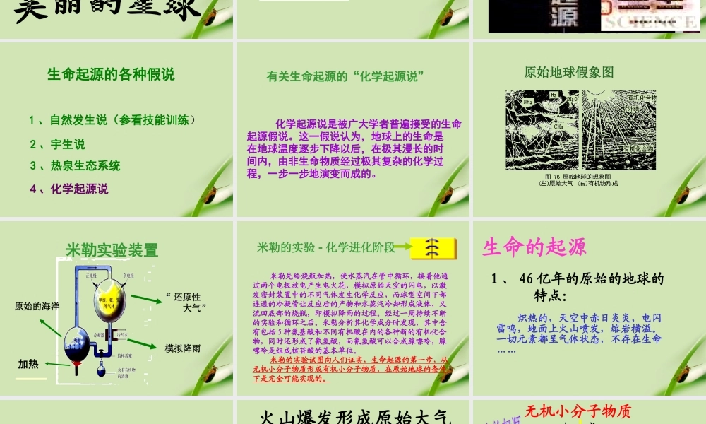 八年级生物下册 生命的起源课件 人教新课标版 课件