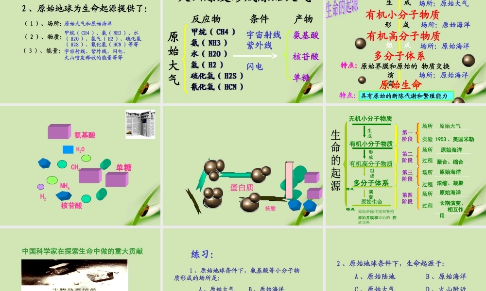 八年级生物下册 生命的起源课件 人教新课标版 课件