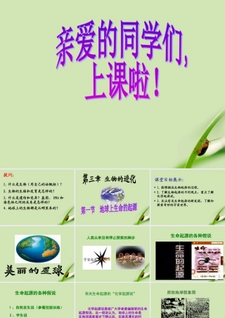 八年级生物下册 生命的起源课件 人教新课标版 课件