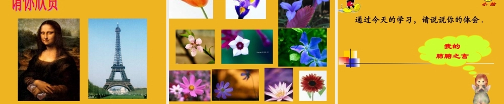 八年级数学下册 (黄金分割)课件 苏科版 课件